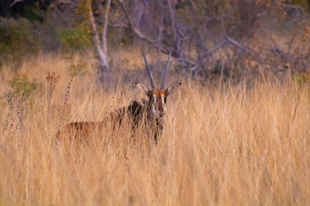 Fumani Game Lodge Modimolle Dış mekan fotoğraf
