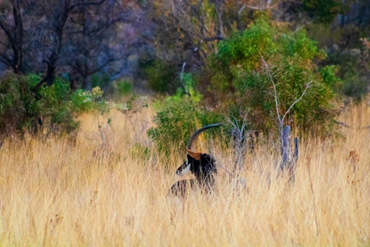 Fumani Game Lodge Modimolle Dış mekan fotoğraf