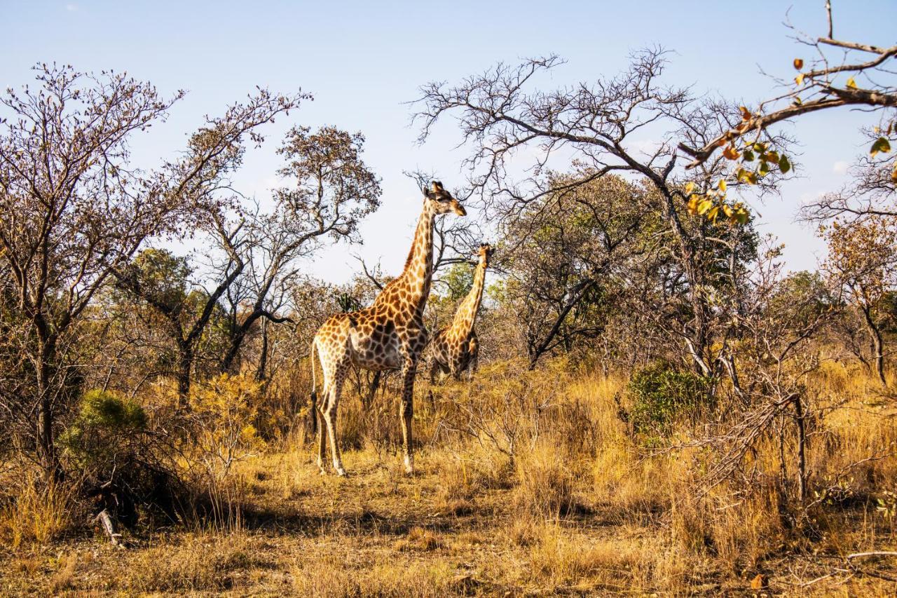 Fumani Game Lodge Modimolle Dış mekan fotoğraf